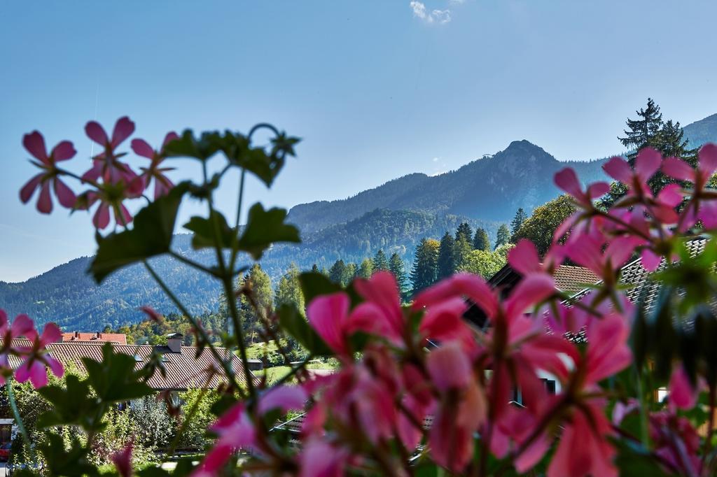 Apartamento Pfanzelter *